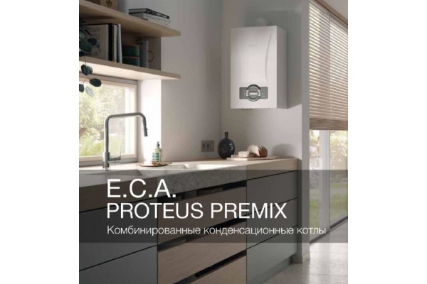 E.C.A. Proteus Premix 35 kw