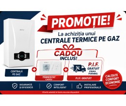 E.C.A. Proteus Premix 45 kw
